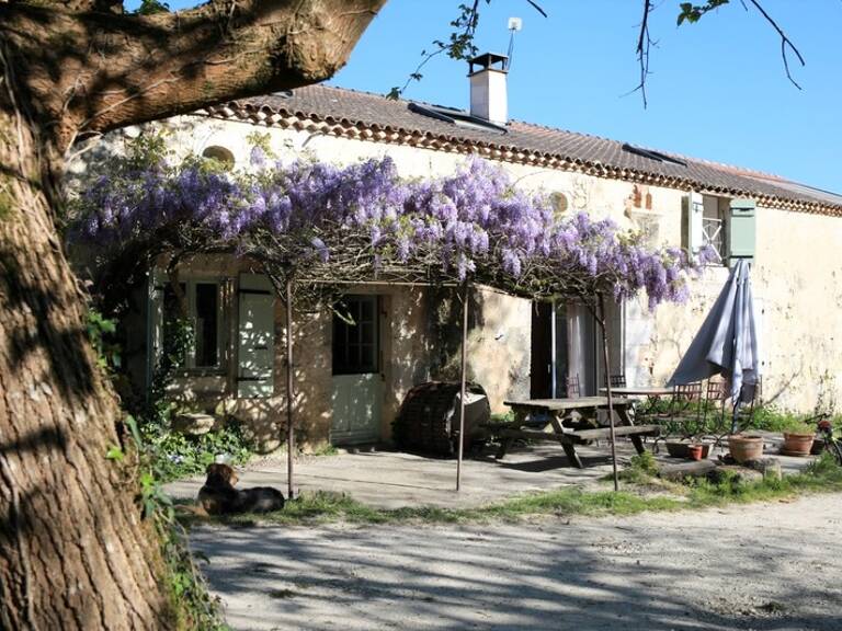 Belle longère en pierre - 4/5 chambres - DPE A - Nérac (Lot-et-Garonne) — photo 1