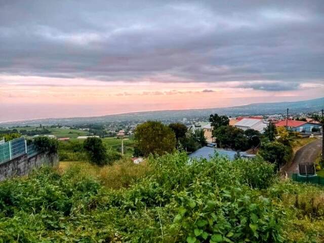 Terrain à vendre Tampon — photo du bien