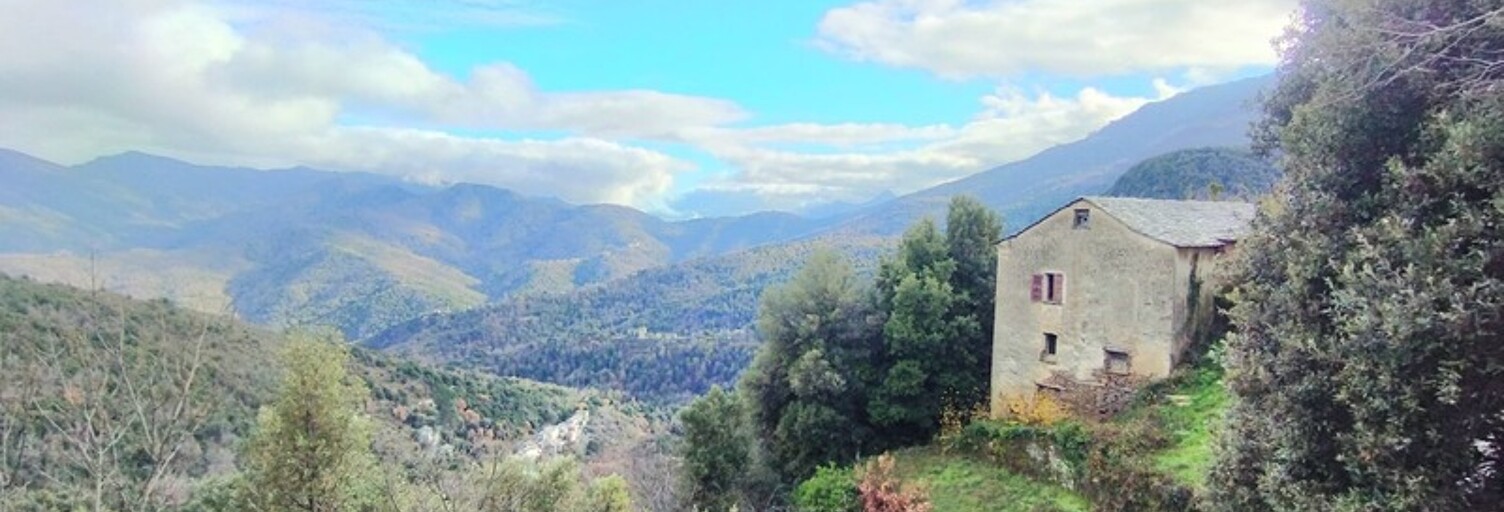 Maison 7 Pièces 120 m² à vendre à Pie-d'Orezza (20229)