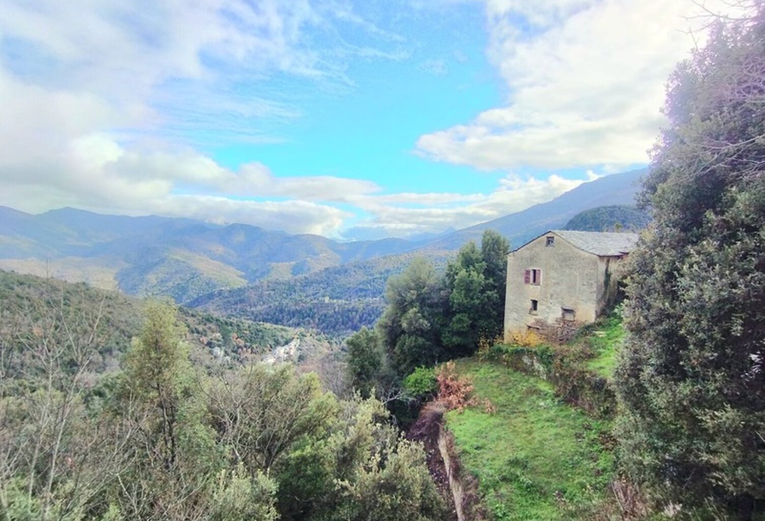 Maison en pierre 7 pièces, 120 m2 + caves, à rénover entièrement à PIE D'OREZZA, Campodonico (HAUTE CORSE) — photo 1