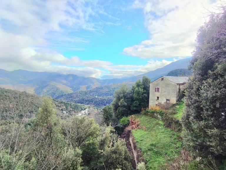 Maison en pierre 7 pièces, 120 m2 + caves, à rénover entièrement à PIE D'OREZZA, Campodonico (HAUTE CORSE) — photo 1