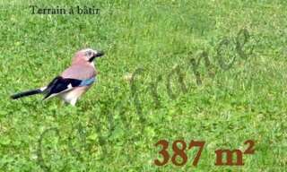 Terrain  387 m² à vendre à Bétheniville (51490)