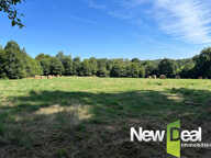 Ensemble immobilier sur env. 7,7 hectares — photo 2