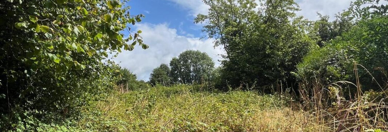 Terrain  2580 m² à vendre à Montboucher (23400)