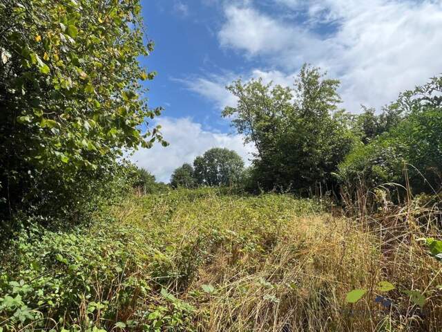 CREUSE — photo du bien
