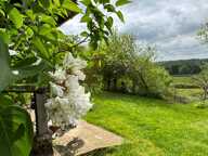 Longère et grange en pierre, 5 pièces, 3 chambres, puits, 6,5 ha jolie vue — photo 4