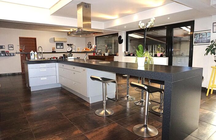 LOFT 270 m² + 235 m² COMBLES AMÉNAGEABLES ? TERRASSE ? DOUBLE GARAGE — photo 4