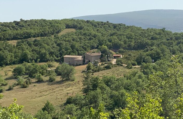Banon, belle propriété de 552 m² avec gîte sur 20 HA avec piscine — photo 3
