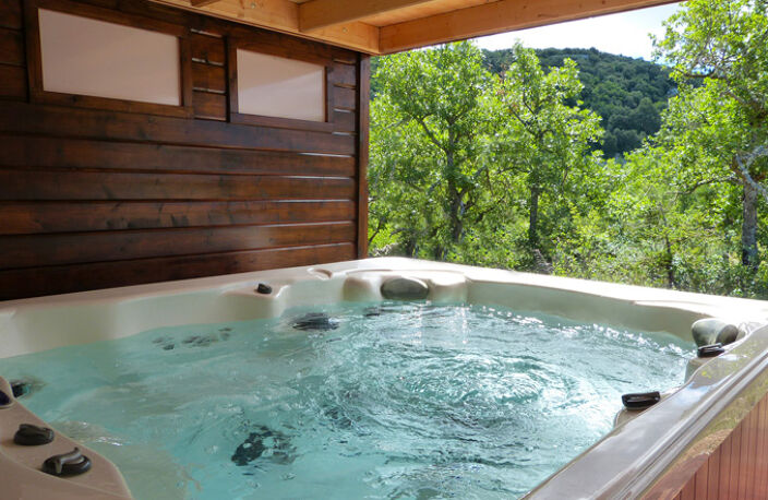 Banon, belle propriété de 552 m² avec gîte sur 20 HA avec piscine — photo 5