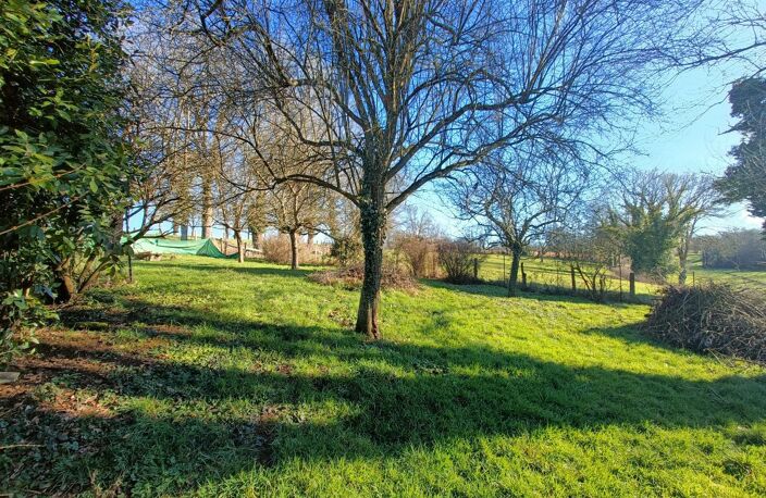 Vente maison 6 pièces 175 m² Chauffailles (71170) — photo 3