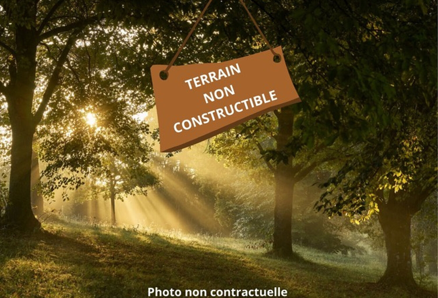 BEDENAC TERRAIN NON CONSTRUCTIBLE — photo 1