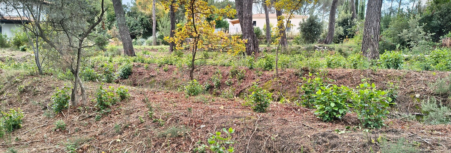 Terrain 1500 m² à construire Éguilles (13510)