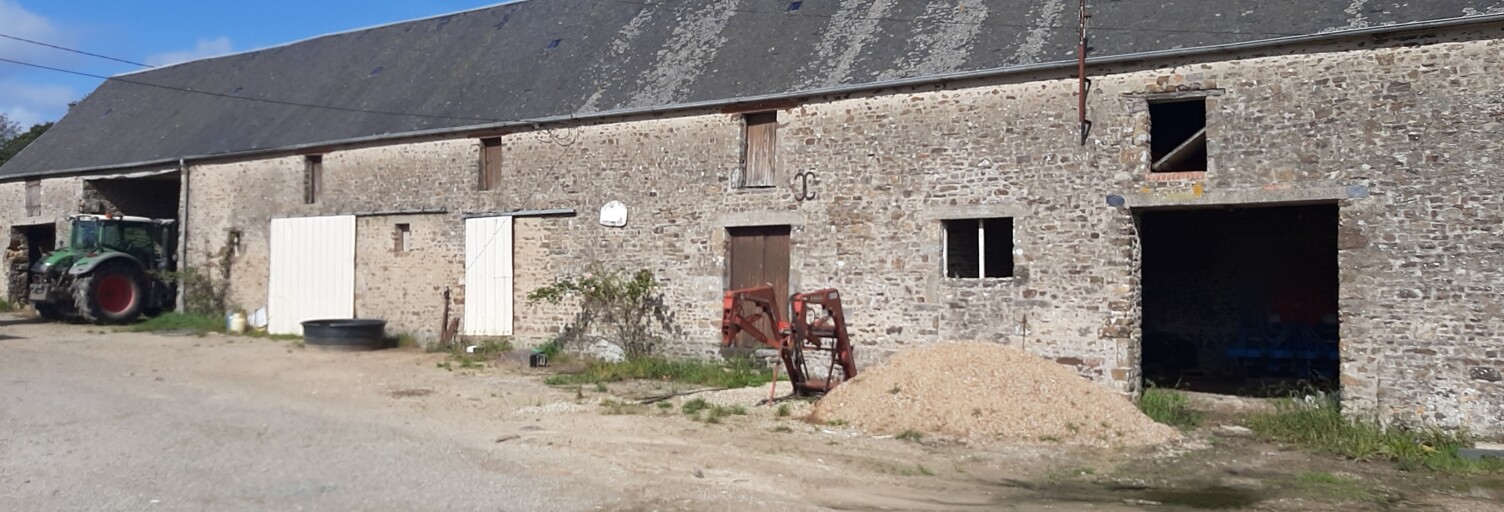 Photo N° 2