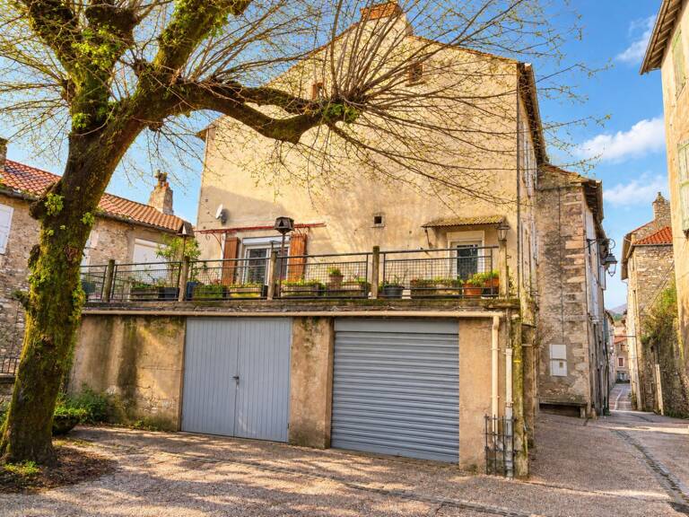 Maison de ville avec terrasse, 2 garages, 2 appt. — photo 1