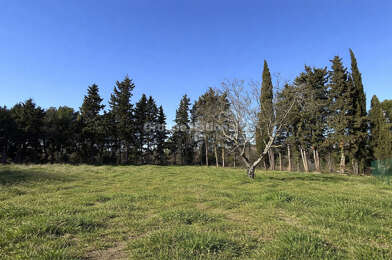 Terrain  168500 €