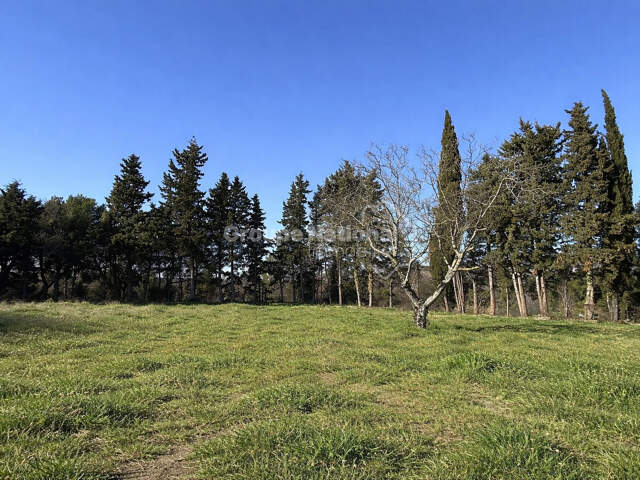 Exclusivité - Terrain viabilisé - Rare et bel emplacement — photo du bien