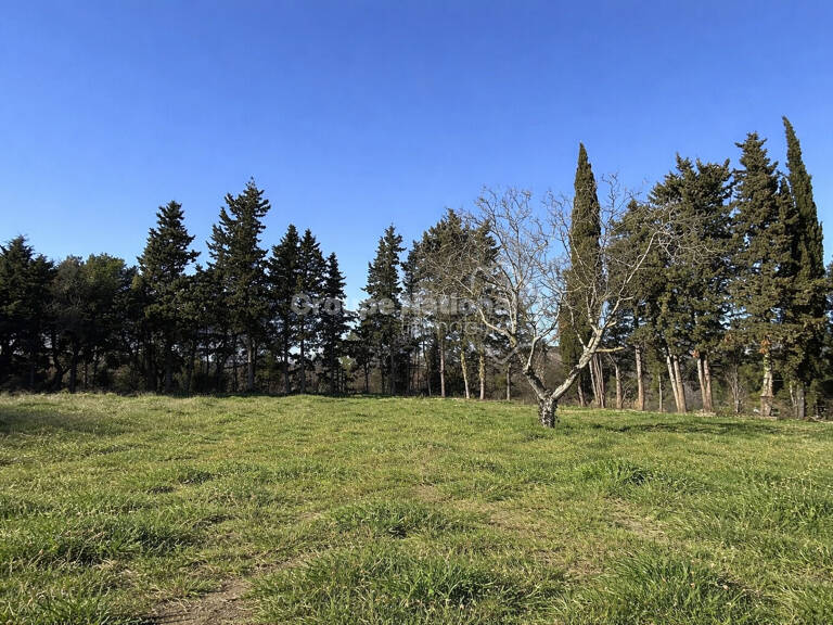 Exclusivité - Terrain viabilisé - Rare et bel emplacement — photo 1