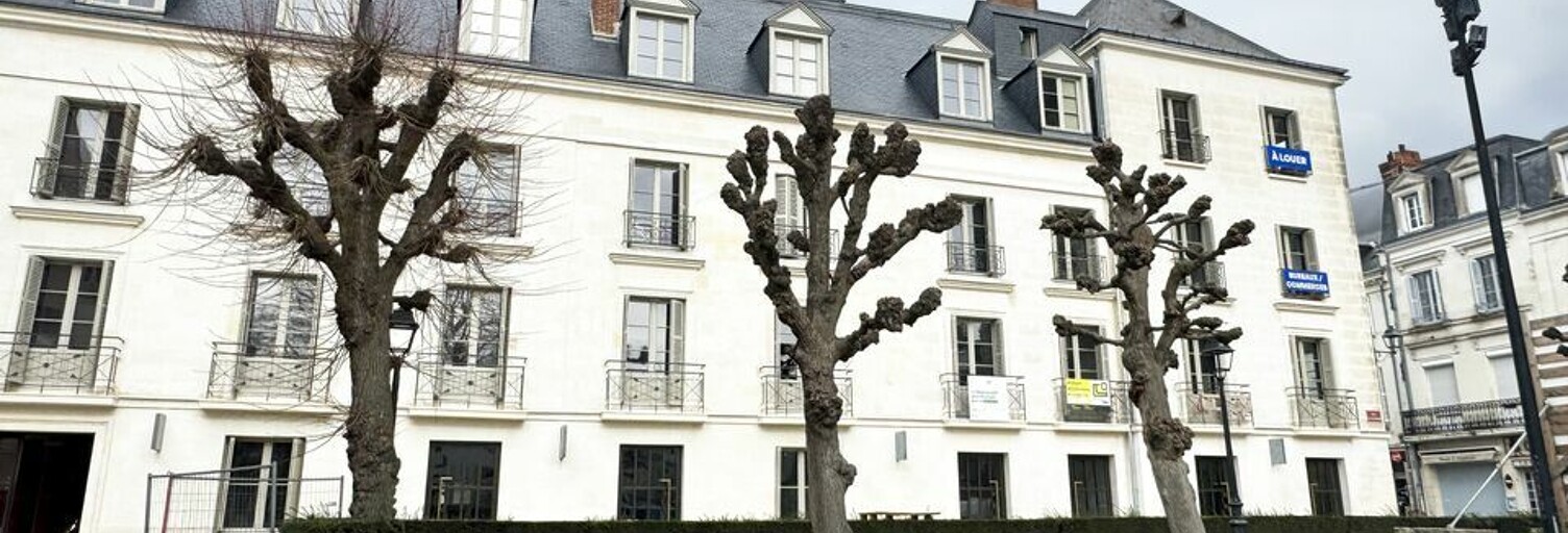 Commerce  182 m² à louer à Tours (37000)