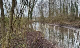 Terrain  2499 m² à vendre à Ribemont-sur-Ancre (80800)