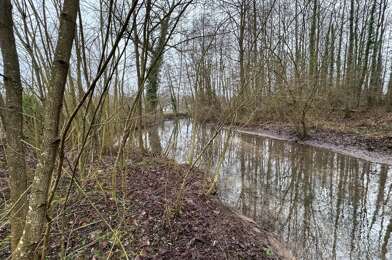 Terrain  50000 €