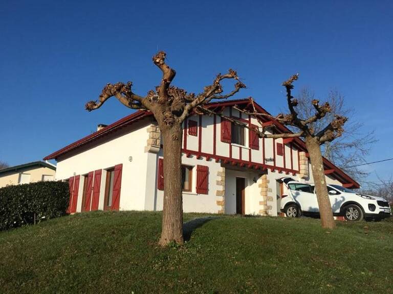 Basque de 7 pièces principales — photo 1