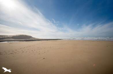 Appartement 4 pièces 299800 €