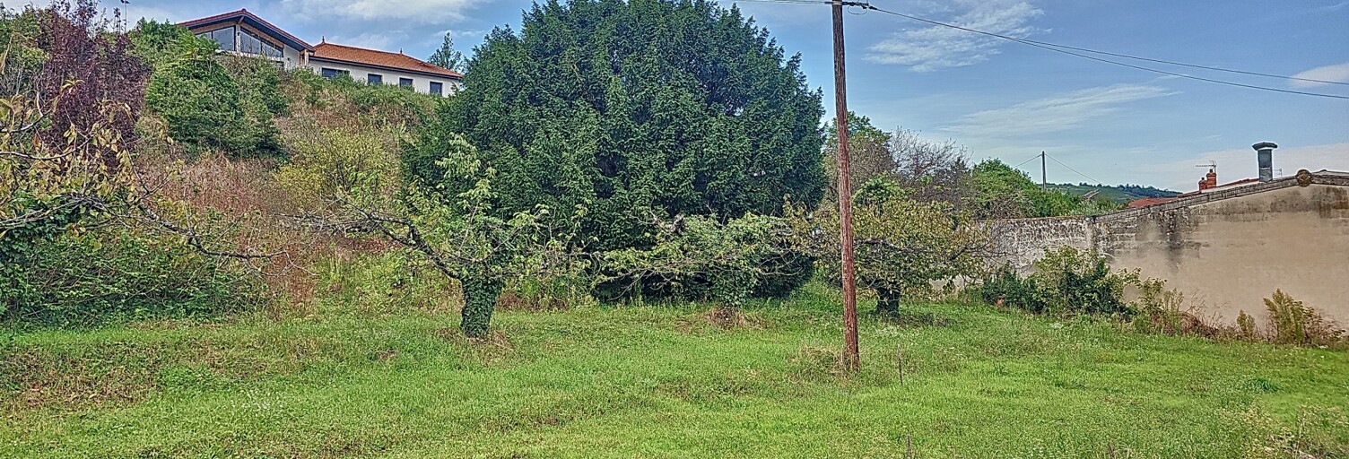 Terrain  1602 m² à vendre à Saint-Pierre-de-Bœuf (42520)