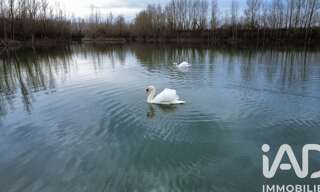 Terrain  125000 m² à vendre à Castelferrus (82100)