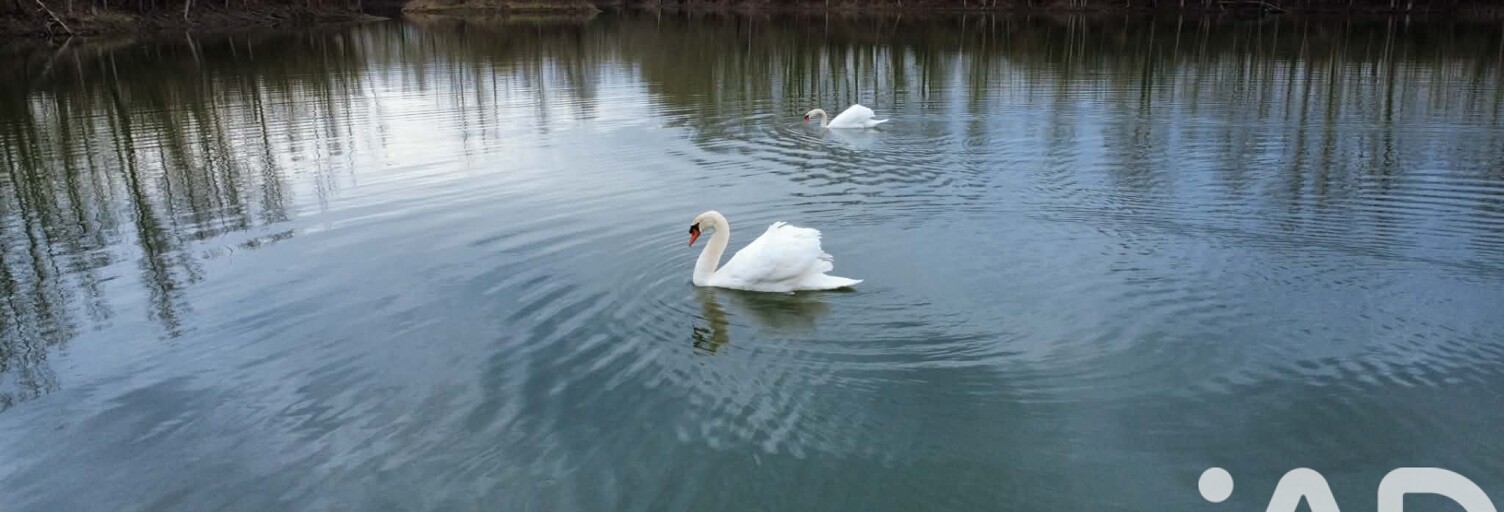 Terrain  125000 m² à vendre à Castelferrus (82100)