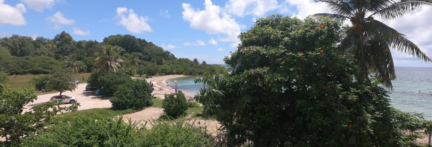 Appartement 3 Pièces 36 m² à vendre à Le Gosier (97190)