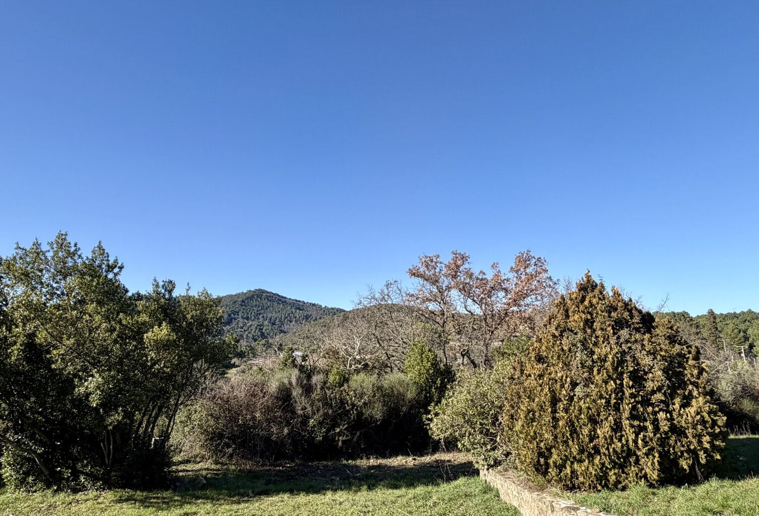 Terrain constructible à Alès — photo 1