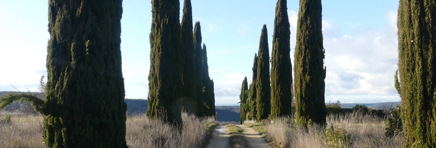 Terrain  27155 m² à vendre à Salazac (30760)