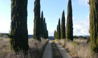 Terrain  27155 m² à vendre à Salazac (30760)