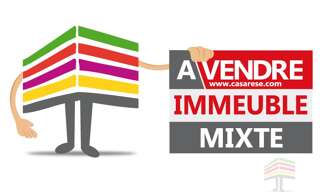 Immeuble  522 m² à vendre à La Chapelle-Saint-Mesmin (45380)