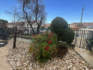 Local professionnel style loft avec jardin — photo 2