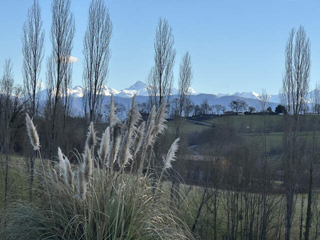 FERME EN PIERRE SUR 1.8 HA — photo du bien