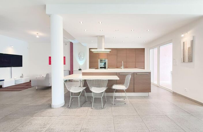 A moins de 30' de l'aéroport de Nice Magnifique Villa 4/5 Pièces 174 m² habitable + 80 m² de dépendances aménagées, piscine, gararage double, stationements — photo 5