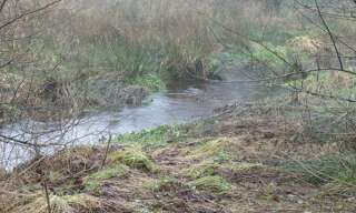 Maison 4 Pièces 200 m² à vendre à Bourbriac (22390)