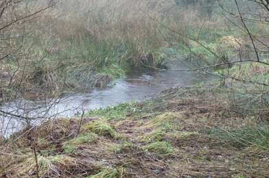 Maison 4 pièces 99000 €