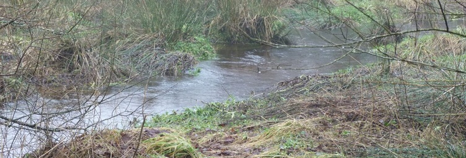 Maison 4 Pièces 200 m² à vendre à Bourbriac (22390)