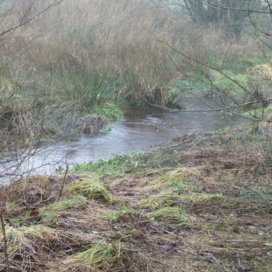 Maison 4 pièces 99000 €