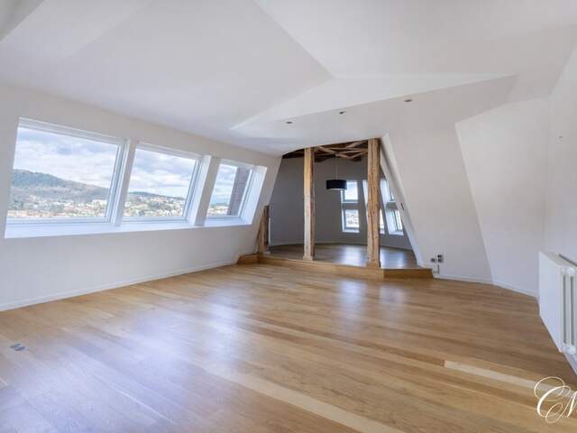 CHAMALIERES : APPARTEMENT D'EXCEPTION AVEC BEAUX VOLUMES ET VUE — photo du bien