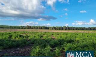 Terrain  779 m² à vendre à Laluque (40465)