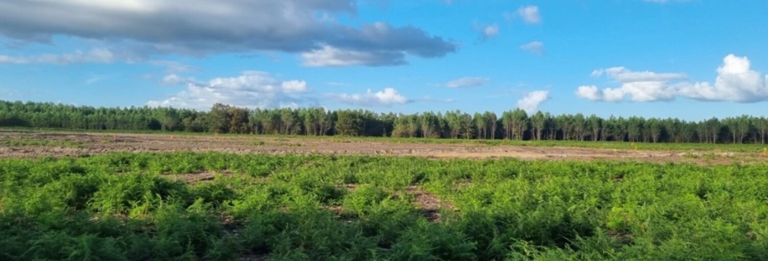 Terrain  779 m² à vendre à Laluque (40465)