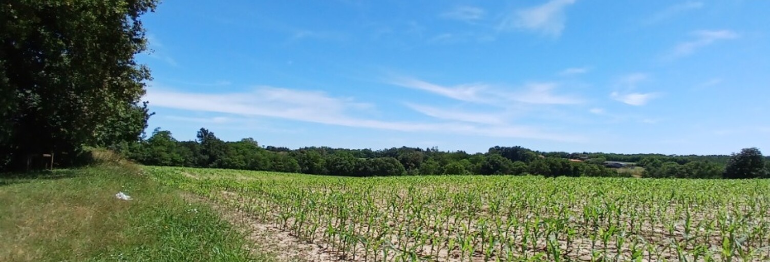 Terrain  958 m² à vendre à Mugron (40250)