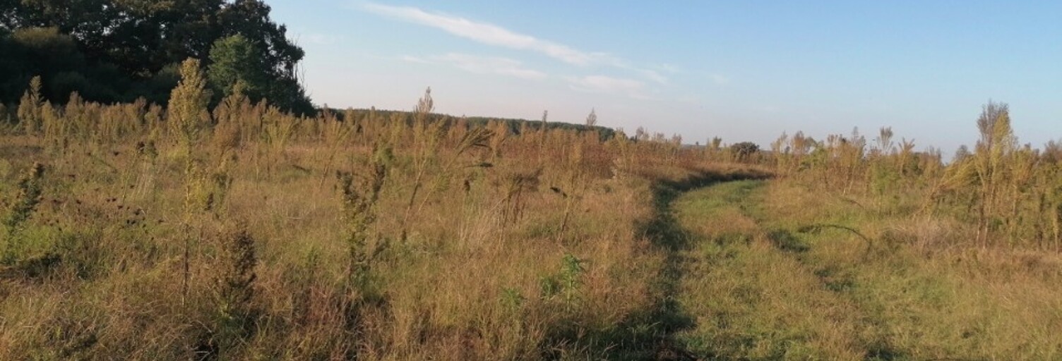 Terrain  500 m² à vendre à Préchacq-les-Bains (40465)