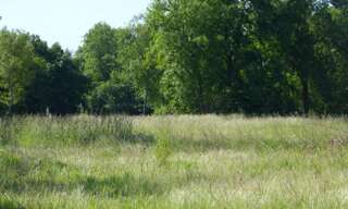 Terrain  490 m² à vendre à Léognan (33850)