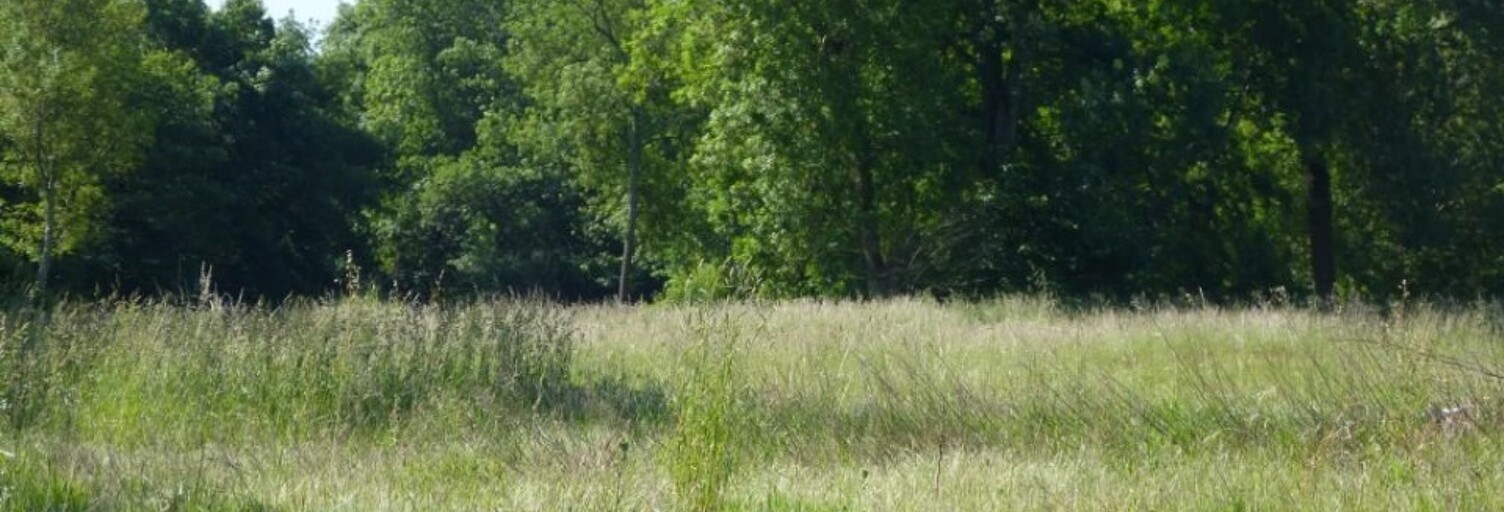 Terrain  490 m² à vendre à Léognan (33850)