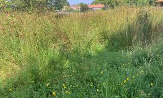 Terrain 650 m² à construire Biscarrosse (40600)