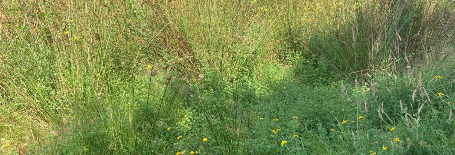 Terrain 650 m² à construire Biscarrosse (40600)